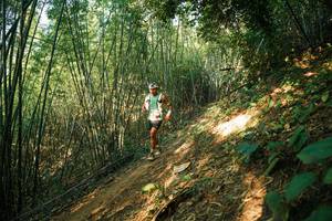 BIB: 
                            <button type="button" onclick="openModal(28141331)" class="btn btn-primary btn-sm float-right btn-popup" data-toggle="modal" data-target=".modal-high-quality">
                        <i class="fas fa-shopping-cart"></i> Add to Cart
                    </button>
                                            <button type="button" onclick="isThisMe(28141331, true)" class="btn btn-success btn-sm float-right btn-popup btn-isme hidden" data-toggle="tooltip" data-placement="bottom" title="นี่คือรูปของคุณใช่ไหม คลิกที่นี่เพื่อเอาเข้าอัลบั้ม">
                        <i class="fas fa-plus"></i> Add to album
                    </button>
                    <button type="button" onclick="isThisMe(28141331, false)" class="btn btn-warning btn-sm float-right btn-popup btn-isnotme hidden">
                        <i class="fas fa-ban"></i> Remove from album
                    </button>